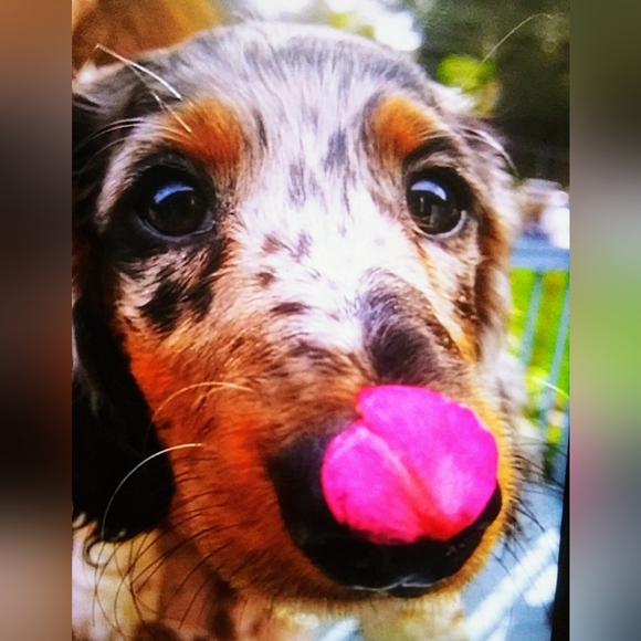 Meet your Posher, Kimberly - Picture 4 of 16